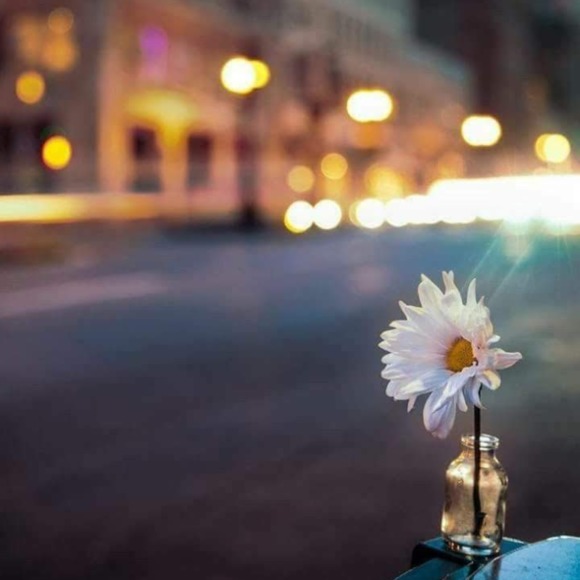 Meet your Posher, Lisa - Picture 1 of 1